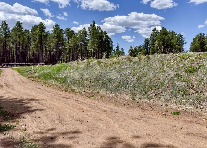 Holiday home Windtree Retreat Hot Tub Pet-friendly Fire Pit Near Downtown *