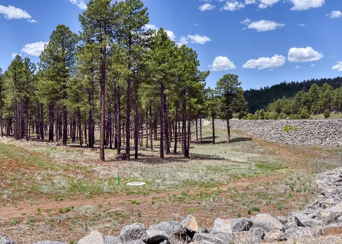 Holiday home Windtree Retreat Hot Tub Pet-friendly Fire Pit Near Downtown
